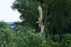 Stormschade-Appingedam-Delfzijl_0594