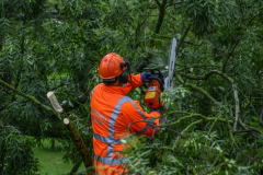 Stormschade-Appingedam-Delfzijl_0682