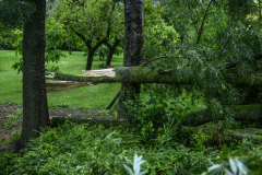 Stormschade-Appingedam-Delfzijl_0694