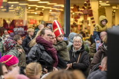 Intocht-Sinterklaas-Delfzijl_7338