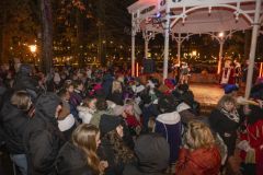 Intocht-Sinterklaas-Appingedam_2160