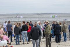 Sliksleen_7157