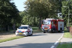 DP954614