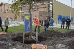Planten-Koningslinde-Campus-Eemsdelta_6829