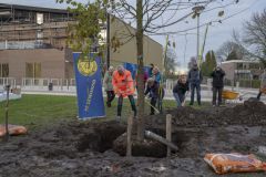 Planten-Koningslinde-Campus-Eemsdelta_6836