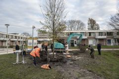 Planten-Koningslinde-Campus-Eemsdelta_6861