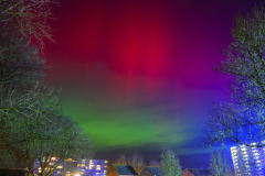 Noorderlicht_0659
