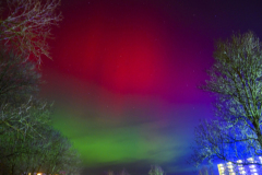 Noorderlicht_0661