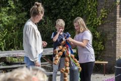 Stoetboom-Holwierde_4699