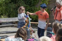 Stoetboom-Holwierde_4717