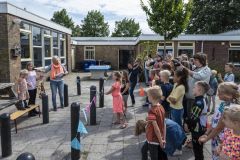 Stoetboom-Holwierde_4798