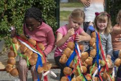 Stoetboom-Holwierde_4850