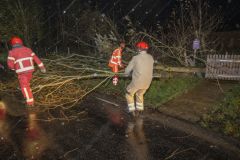 Stormschade-30
