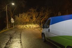 Stormschade-7