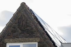 Verstoring-vleermuizen-Loppersum_5148