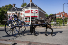 Fraeylema-Koetsentocht_0921