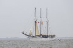DelfSail-2024-Sail-In_3091
