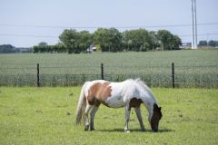 opening-locatie-Ezelsbrug_3828