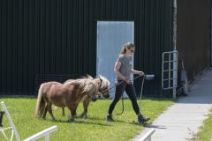 opening-locatie-Ezelsbrug_3858