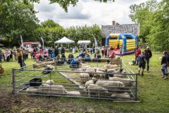Tjamsweerfair_2048
