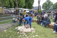 Tjamsweerfair_2054