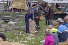 Tjamsweerfair_2119