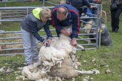 Tjamsweerfair_2138