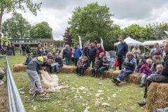 Tjamsweerfair_2165