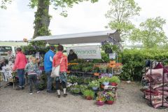Tjamsweerfair_2190