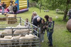 Tjamsweerfair_2232