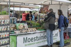 Tjamsweerfair_2238