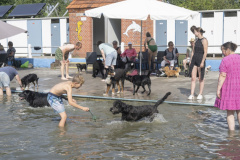 Hondenzwemmen-Loppersum_6715