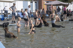 Hondenzwemmen-Loppersum_6882