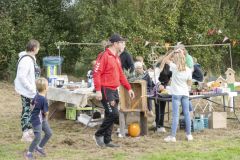 Zomer-op-het-Veld12