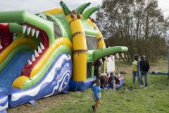 Zomer-op-het-Veld18