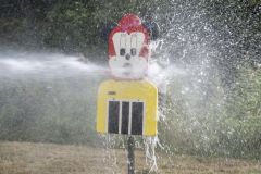 Zomer-op-het-Veld25