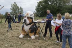 Zomer-op-het-Veld35