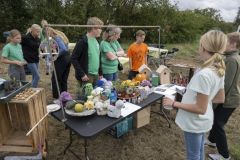 Zomer-op-het-Veld38