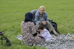 Zomer-op-het-Veld39