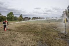Zomer-op-het-Veld48