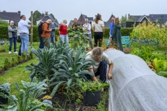 Voedseltuin-de-Heerd-Appingedam_0789
