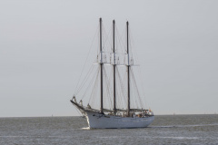 Tallships-in-de-haven-van-Delfzijl_4305