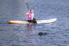 Hond-te-water-Jaagpad-Delfzijl_2308