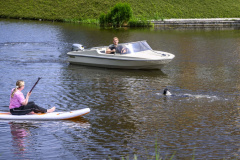 Hond-te-water-Jaagpad-Delfzijl_2329