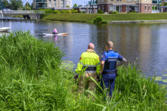 Hond-te-water-Jaagpad-Delfzijl_2341