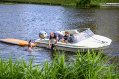 Hond-te-water-Jaagpad-Delfzijl_2417