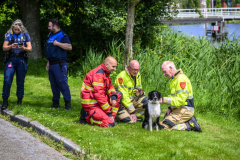 Hond-te-water-Jaagpad-Delfzijl_2538