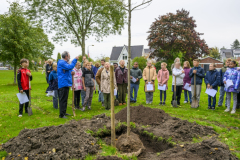 Platen-vrijheidsboom-Farmsum_4142