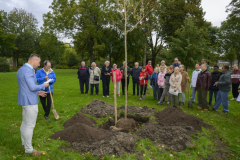 Platen-vrijheidsboom-Farmsum_4150
