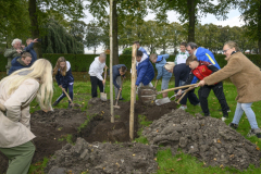 Platen-vrijheidsboom-Farmsum_4185